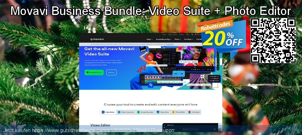 Movavi Business Bundle: Video Suite + Photo Editor großartig Disagio Bildschirmfoto