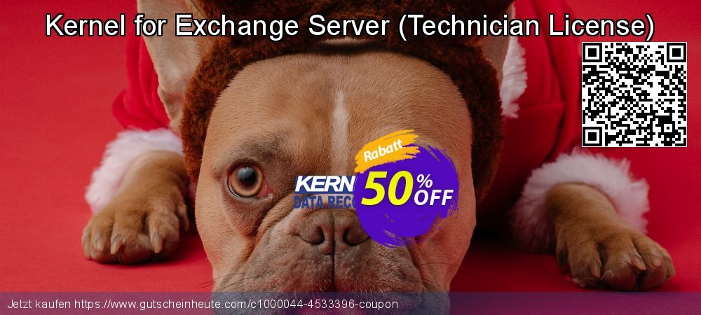 Kernel for Exchange Server - Technician License  toll Promotionsangebot Bildschirmfoto