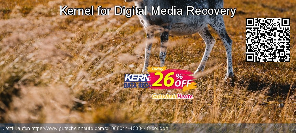 Kernel for Digital Media Recovery großartig Nachlass Bildschirmfoto