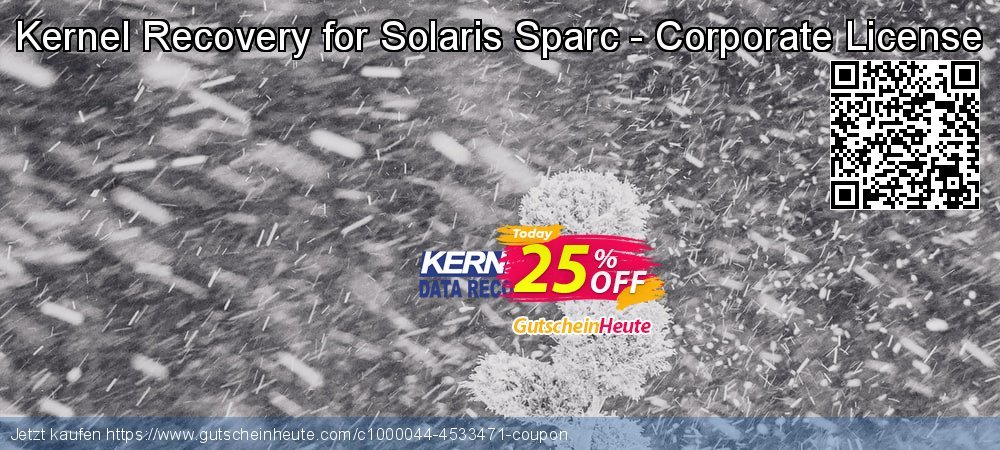 Kernel Recovery for Solaris Sparc - Corporate License uneingeschränkt Außendienst-Promotions Bildschirmfoto