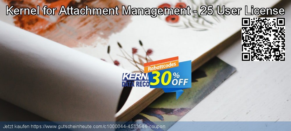 Kernel for Attachment Management - 25 User License super Sale Aktionen Bildschirmfoto