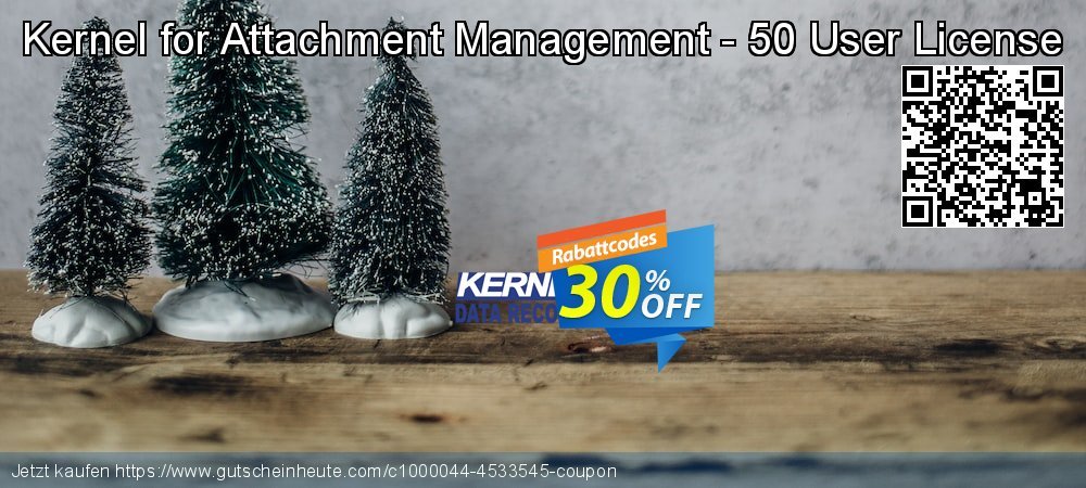 Kernel for Attachment Management - 50 User License wunderschön Rabatt Bildschirmfoto