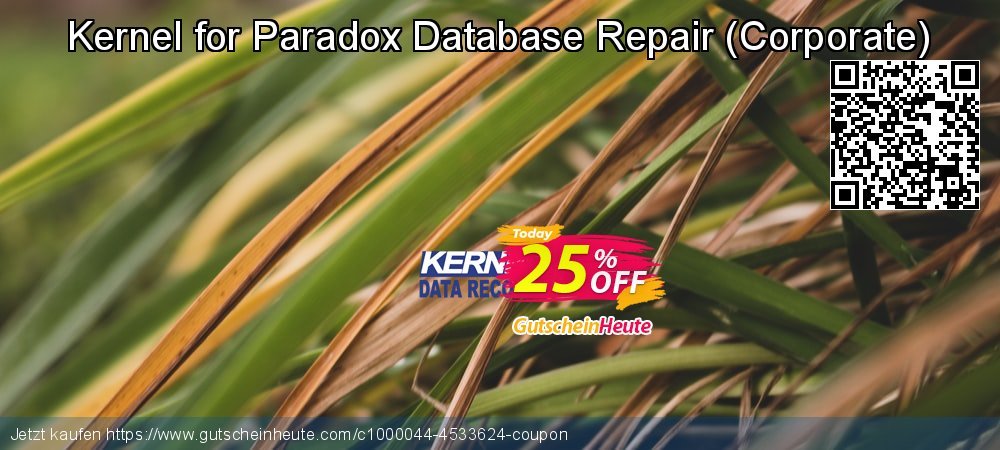 Kernel for Paradox Database Repair - Corporate  klasse Außendienst-Promotions Bildschirmfoto