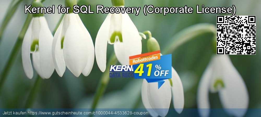 Kernel for SQL Recovery - Corporate License  ausschließenden Beförderung Bildschirmfoto