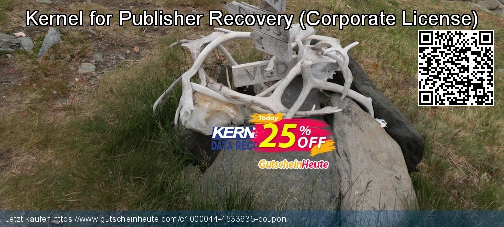 Kernel for Publisher Recovery - Corporate License  wunderbar Nachlass Bildschirmfoto