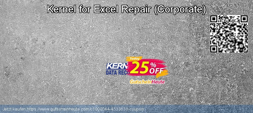 Kernel for Excel Repair - Corporate  wunderschön Disagio Bildschirmfoto