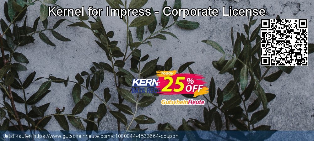 Kernel for Impress - Corporate License fantastisch Rabatt Bildschirmfoto
