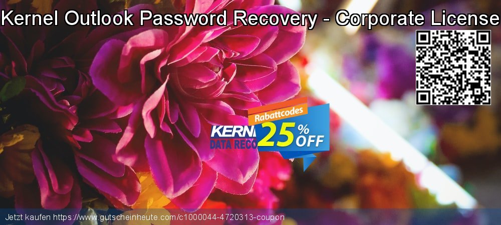 Kernel Outlook Password Recovery - Corporate License erstaunlich Diskont Bildschirmfoto