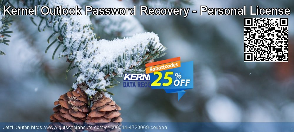 Kernel Outlook Password Recovery - Personal License ausschließenden Disagio Bildschirmfoto