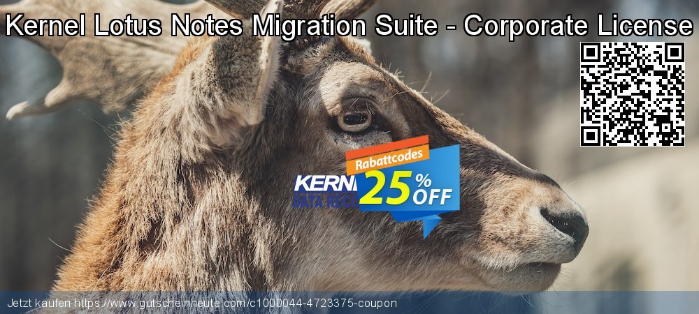 Kernel Lotus Notes Migration Suite - Corporate License klasse Disagio Bildschirmfoto