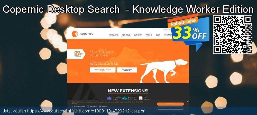 Copernic Desktop Search  - Knowledge Worker Edition toll Rabatt Bildschirmfoto