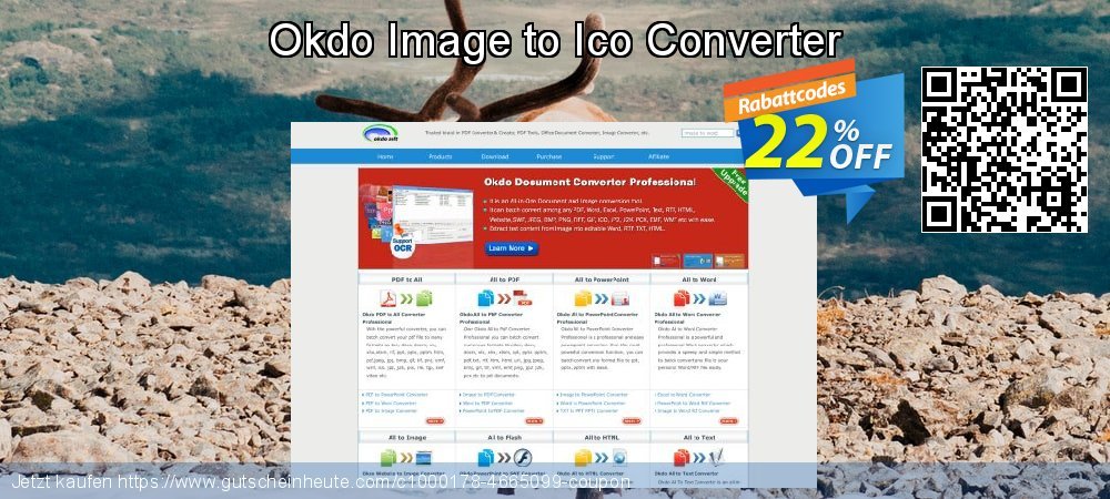 Okdo Image to Ico Converter verwunderlich Sale Aktionen Bildschirmfoto