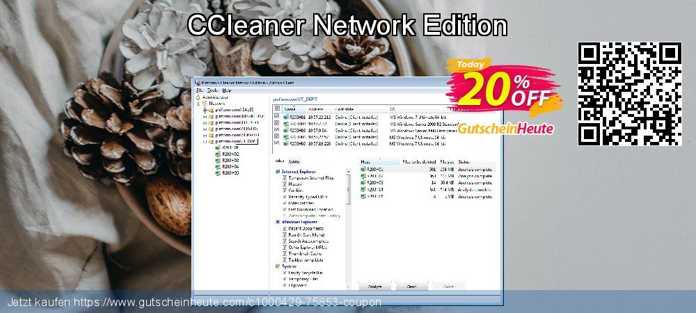 CCleaner Network Edition genial Rabatt Bildschirmfoto