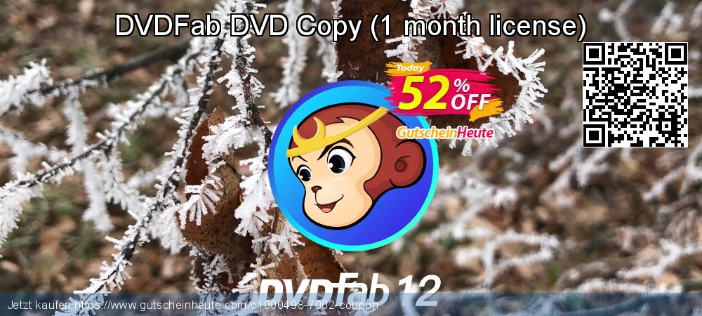 DVDFab DVD Copy - 1 month license  formidable Disagio Bildschirmfoto