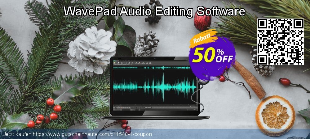 WavePad Audio Editing Software exklusiv Außendienst-Promotions Bildschirmfoto