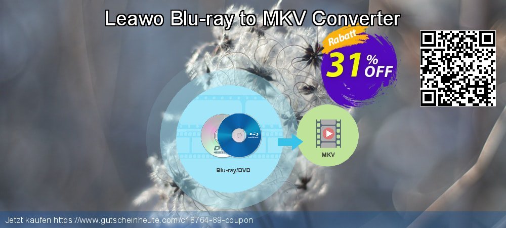 Leawo Blu-ray to MKV Converter großartig Ermäßigungen Bildschirmfoto