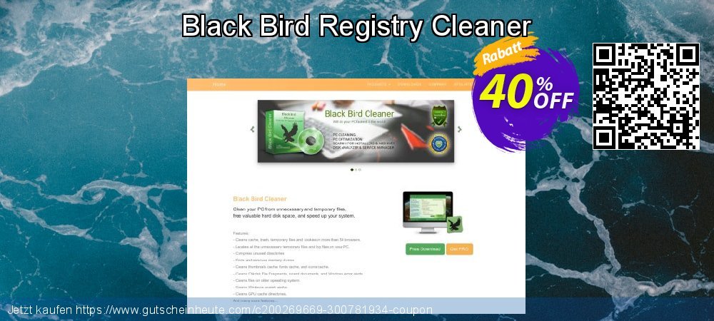 Black Bird Registry Cleaner aufregende Außendienst-Promotions Bildschirmfoto