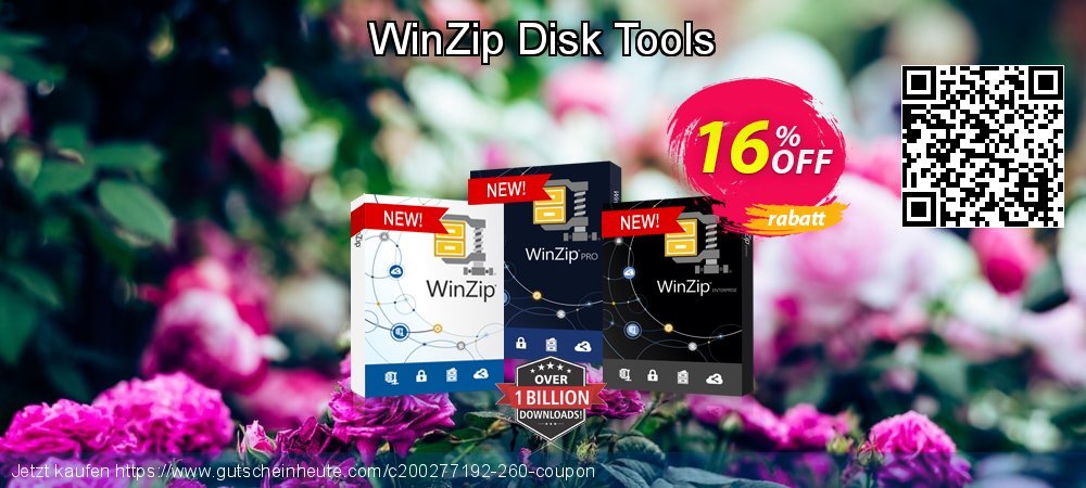 WinZip Disk Tools wunderschön Preisnachlass Bildschirmfoto