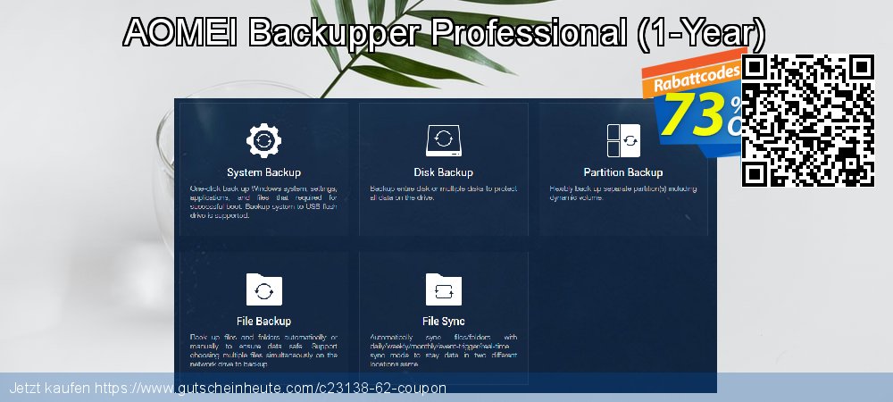 AOMEI Backupper Professional - 1-Year  ausschließenden Beförderung Bildschirmfoto