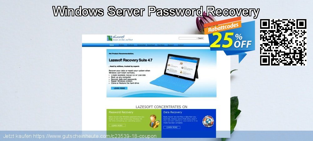 Windows Server Password Recovery großartig Promotionsangebot Bildschirmfoto