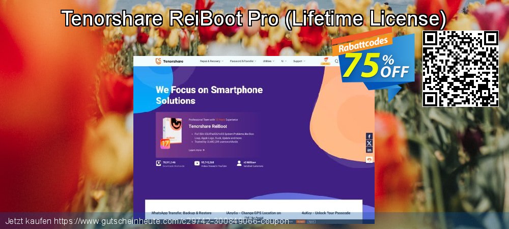Tenorshare ReiBoot Pro - Lifetime License  beeindruckend Sale Aktionen Bildschirmfoto