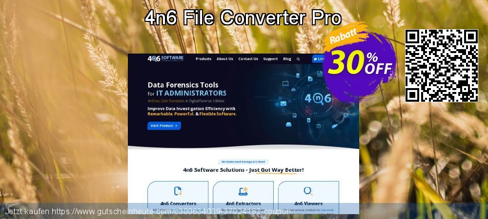 4n6 File Converter Pro ausschließlich Nachlass Bildschirmfoto