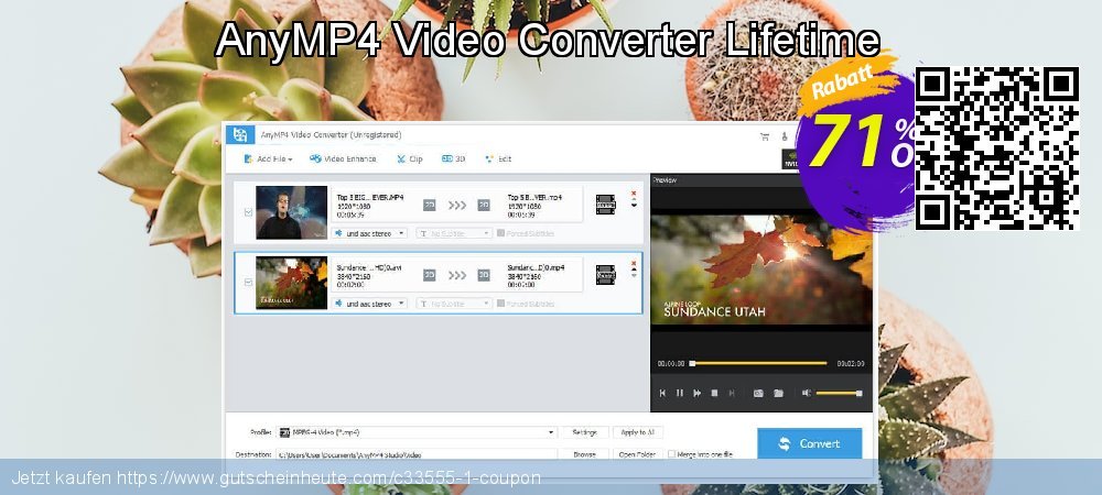 AnyMP4 Video Converter Lifetime toll Außendienst-Promotions Bildschirmfoto