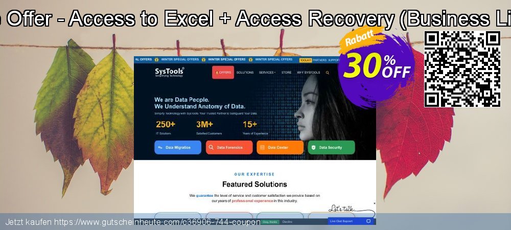 Bundle Offer - Access to Excel + Access Recovery - Business License  überraschend Nachlass Bildschirmfoto