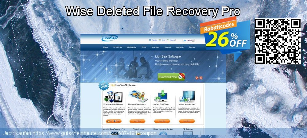Wise Deleted File Recovery Pro beeindruckend Außendienst-Promotions Bildschirmfoto