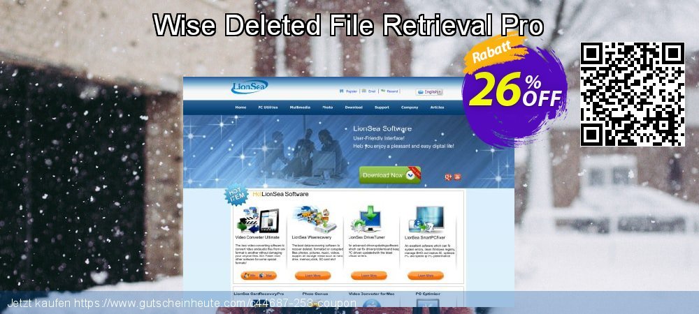 Wise Deleted File Retrieval Pro geniale Ausverkauf Bildschirmfoto