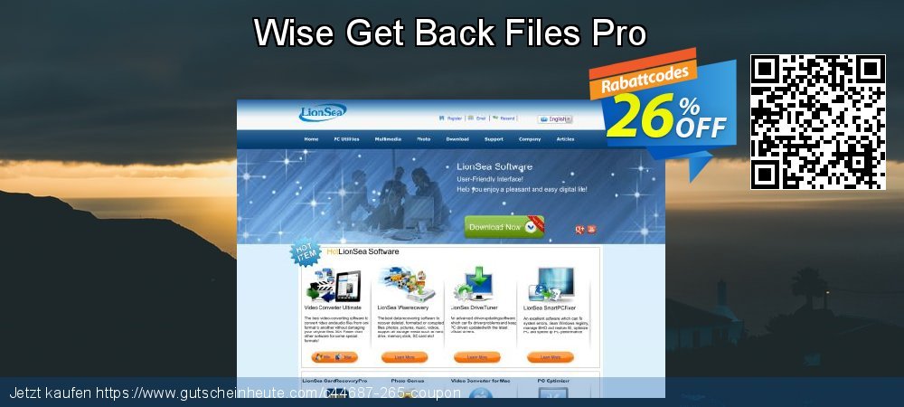 Wise Get Back Files Pro ausschließlich Rabatt Bildschirmfoto
