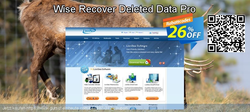 Wise Recover Deleted Data Pro verblüffend Preisreduzierung Bildschirmfoto