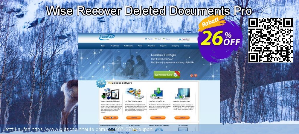 Wise Recover Deleted Documents Pro wundervoll Preisnachlass Bildschirmfoto