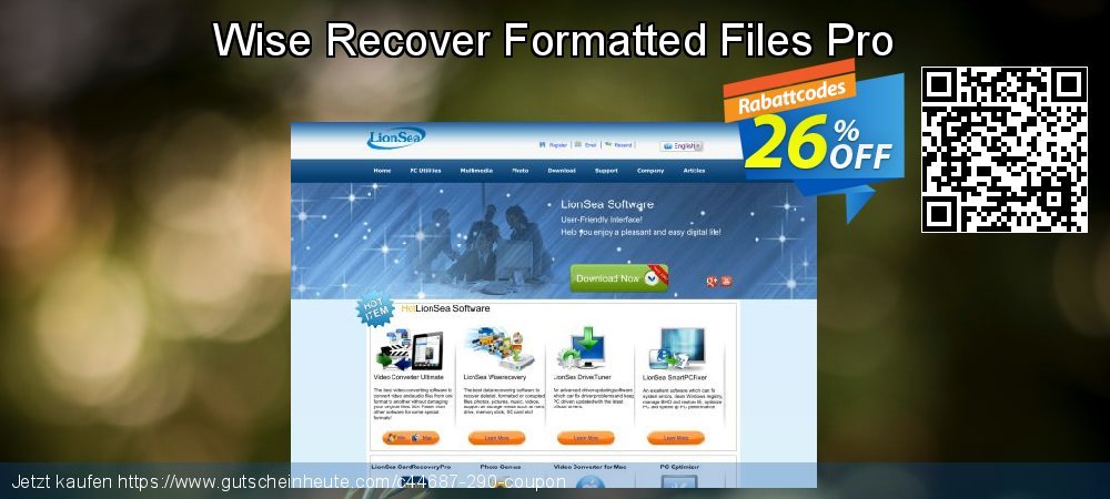 Wise Recover Formatted Files Pro aufregende Disagio Bildschirmfoto