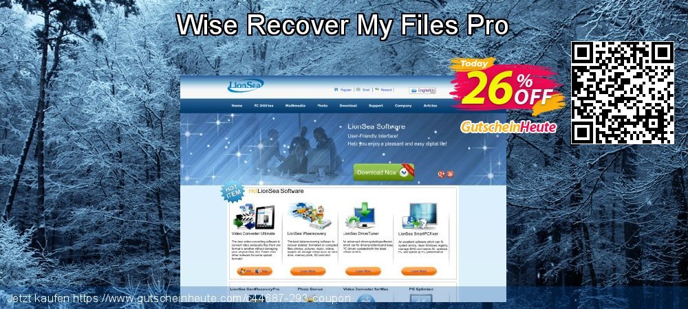 Wise Recover My Files Pro klasse Außendienst-Promotions Bildschirmfoto