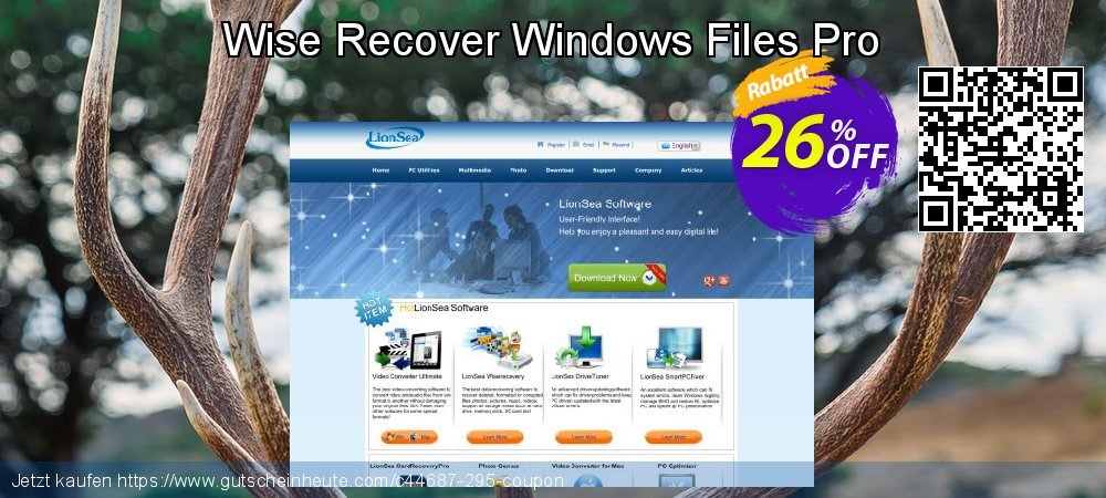 Wise Recover Windows Files Pro uneingeschränkt Preisnachlass Bildschirmfoto