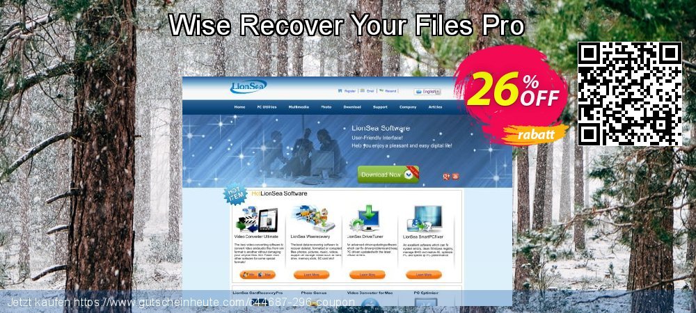 Wise Recover Your Files Pro ausschließlich Förderung Bildschirmfoto