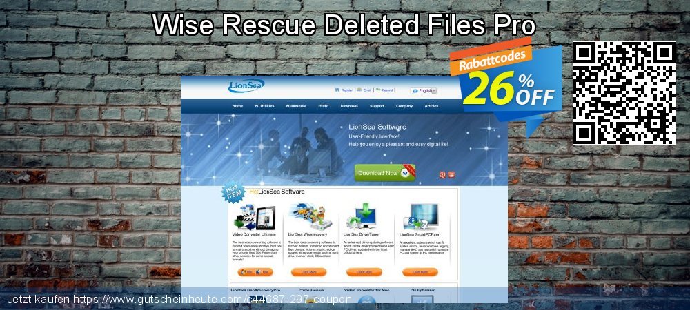 Wise Rescue Deleted Files Pro ausschließenden Beförderung Bildschirmfoto