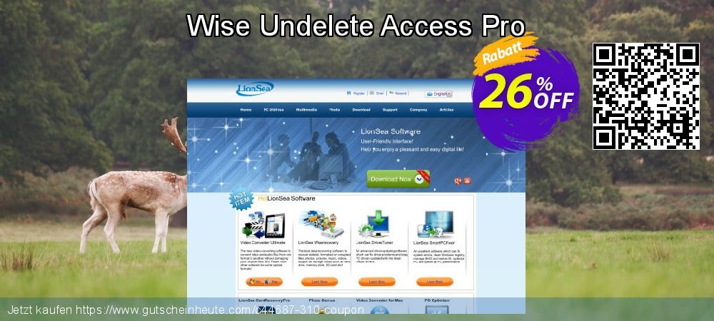 Wise Undelete Access Pro überraschend Außendienst-Promotions Bildschirmfoto