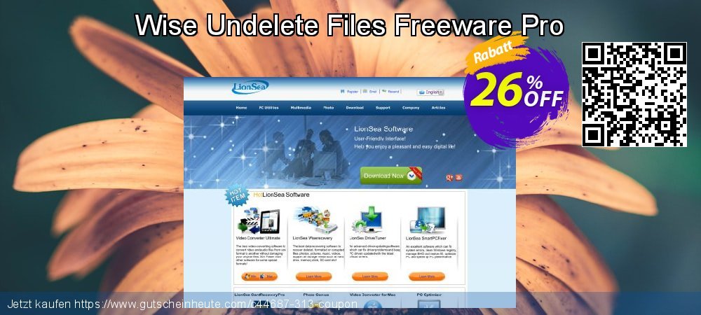 Wise Undelete Files Freeware Pro toll Förderung Bildschirmfoto