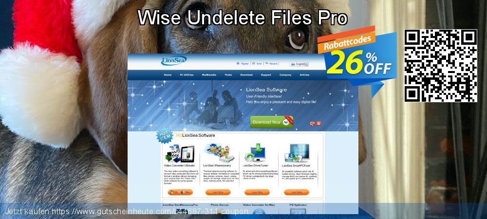 Wise Undelete Files Pro Exzellent Beförderung Bildschirmfoto