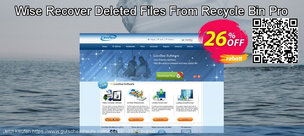 Wise Recover Deleted Files From Recycle Bin Pro super Promotionsangebot Bildschirmfoto