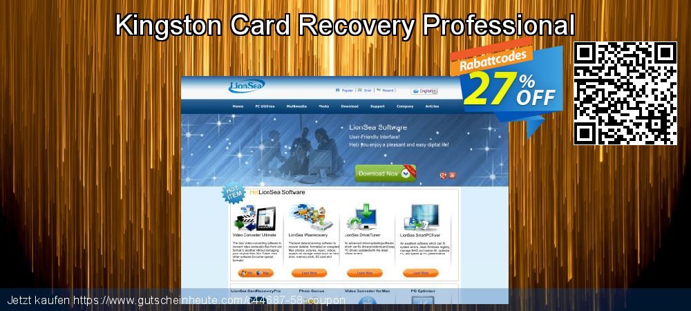 Kingston Card Recovery Professional aufregende Disagio Bildschirmfoto