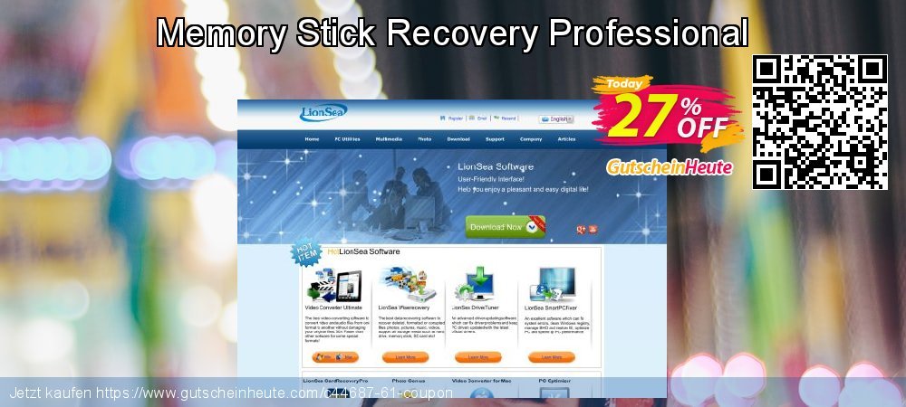 Memory Stick Recovery Professional klasse Außendienst-Promotions Bildschirmfoto