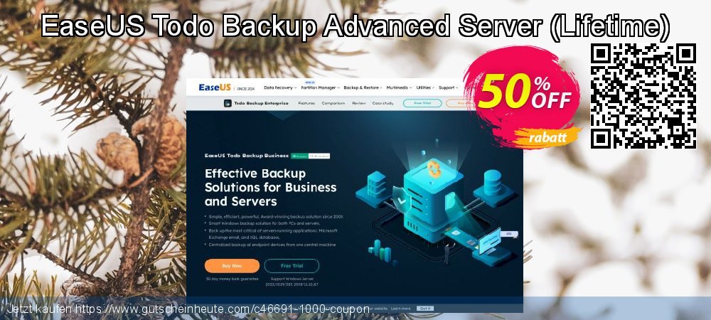 EaseUS Todo Backup Advanced Server - Lifetime  toll Ermäßigung Bildschirmfoto