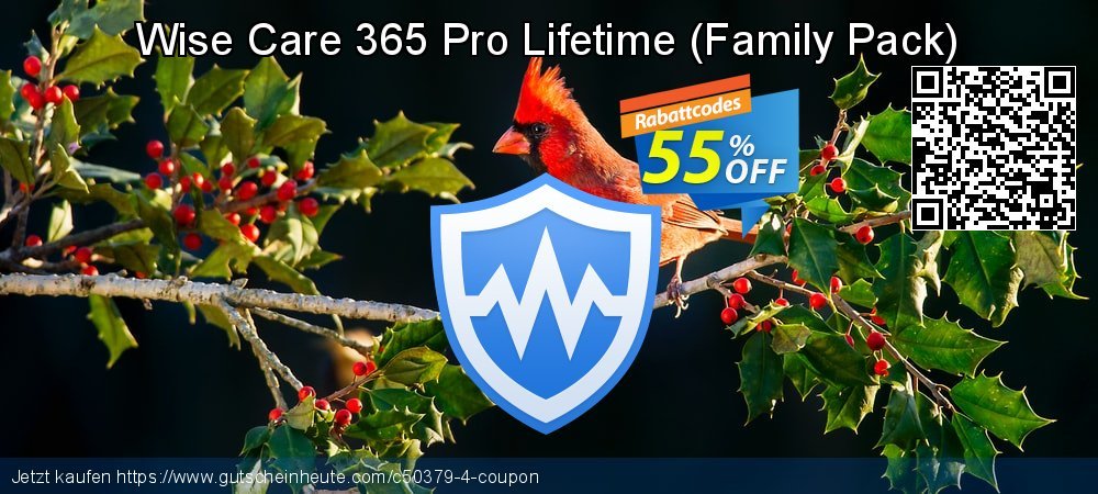 Wise Care 365 Pro Lifetime - Family Pack  umwerfenden Nachlass Bildschirmfoto