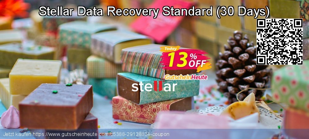 Stellar Data Recovery Standard - 30 Days  verblüffend Angebote Bildschirmfoto