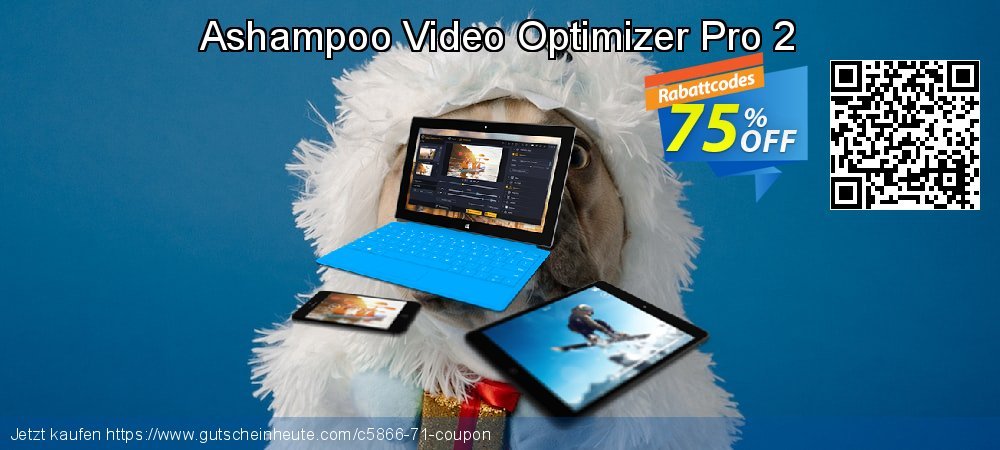Ashampoo Video Optimizer Pro 2 fantastisch Ermäßigung Bildschirmfoto